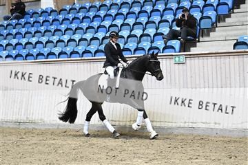 182241_kbb_01_Z094436.JPG