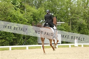 139835_sg_01_IMG_7415.JPG