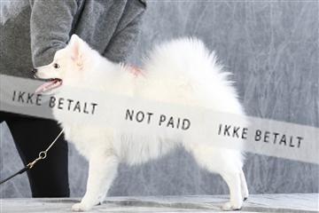 128239_le_ 06_0073.JPG