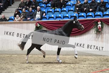 164516_kuo_01_D05_2770.JPG