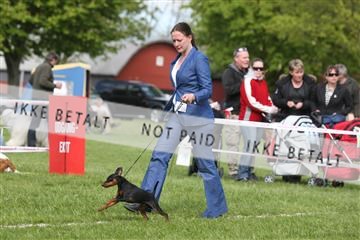 134871_ms_04_IMG_1088.JPG