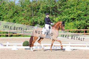 181449_bc_01R62_6555.JPG