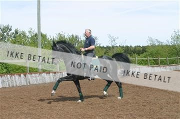 100-0057_IMG.JPG