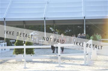 144462_bc_03__BC20825.JPG