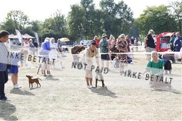 181848_kar_01__62_2230.JPG