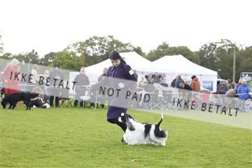182009_kar_01__62_7088.JPG