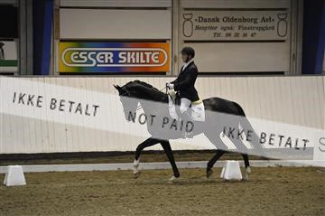 140040_abo_01__AB17663.JPG