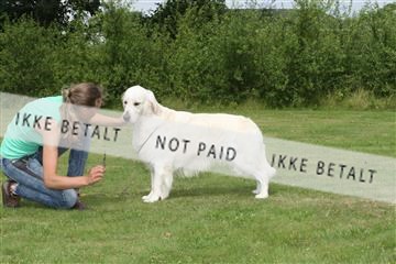 130370_le_03_IMG_8424.JPG
