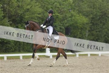 139835_sg_02_IMG_8880.JPG