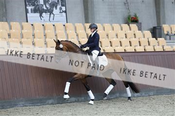 181852_mtp_04_R62_2975.JPG