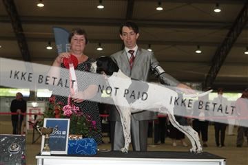 135379_tl_02_IMG_9628.JPG