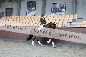 181852_mtp_01_R62_1509.JPG