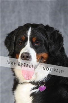 130054_le_ 03_0337.JPG