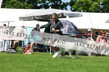 181564_rin_02_R62_3642.JPG