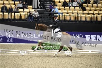 182194_kbb_01_Z096959.JPG