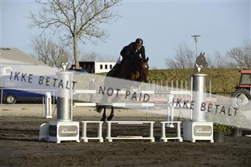 139403_ms_01__MS18894.JPG