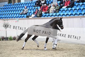 164516_kuo_01_D05_1629.JPG