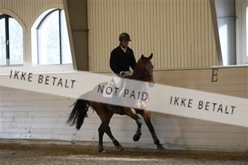139266_kl_1_8M1Q7310.JPG