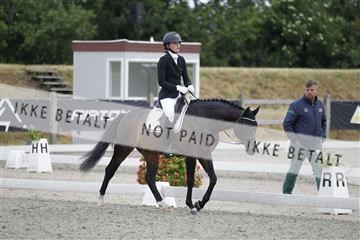 166078_rhj_01__J7R4691.JPG