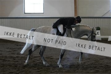 139267_kl_1_8M1Q6538.JPG