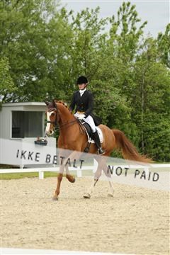 139835_sg_01_IMG_7387.JPG