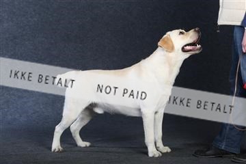 132082_le_ 01_IMG_1036.JPG