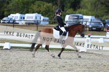 181894_mtp_05_R62_5302.JPG