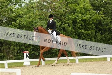139835_sg_01_IMG_7395.JPG