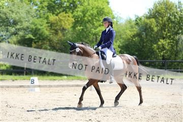168732_mtp_01_3M5A7540.JPG