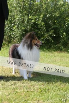 130370_se_03_IMG_7940.JPG