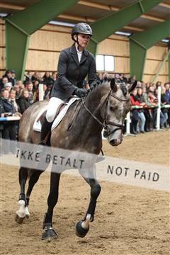 139265_kl_1_8M1Q6159.JPG