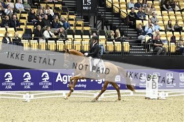 182194_kbb_03_Z090736.JPG