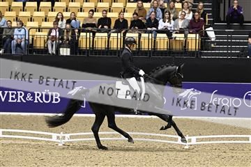 182194_kbb_03_Z091286.JPG