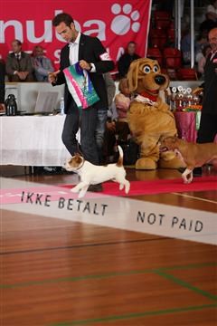 6068_ma_05_IMG_6026.JPG