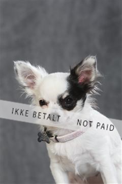 130054_le_ 03_0173.JPG