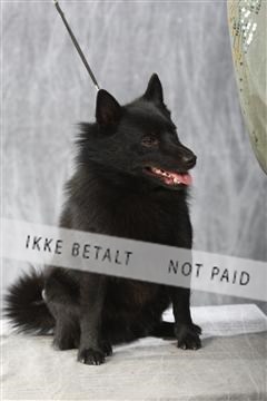 129608_le_ 01_0673.JPG