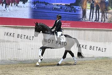 182241_kbb_01_Z094206.JPG