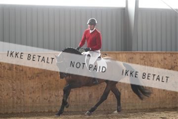 139206_kl_1_8M1Q5138.JPG