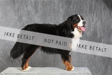 130054_le_ 03_0378.JPG