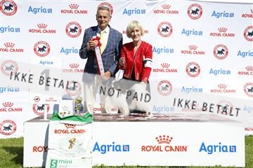 181564_ch_01__62_9754.JPG