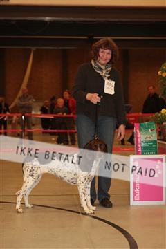 124188 _tl_02_IMG_9666.JPG