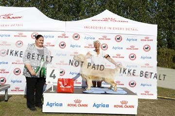 181848_kar_01__62_2507.JPG
