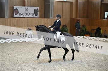 182176_kbb_01_Z093336.JPG