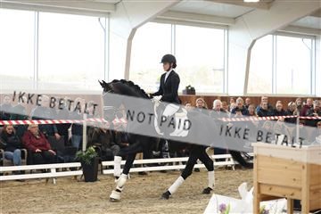 174363_kbb_01_R6II8177.JPG