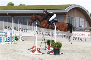 181922_avh_01_1097.JPG