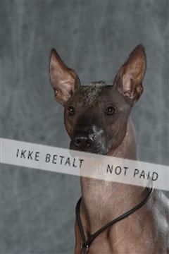 130054_le_ 03_0223.JPG