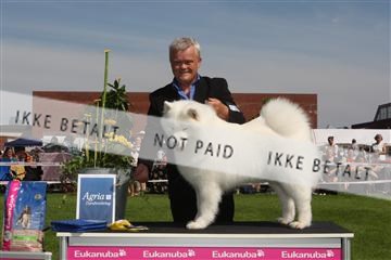 130370_se_02_IMG_6340.JPG