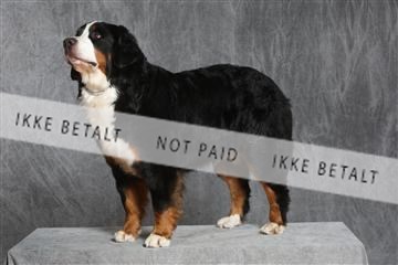 130054_le_ 03_0428.JPG