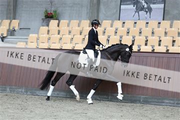 181852_mtp_02_R62_1611.JPG