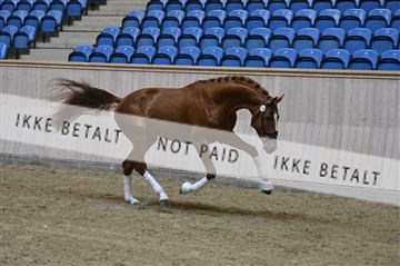 139327_abo_01__AB10200.JPG